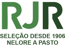 Rjr